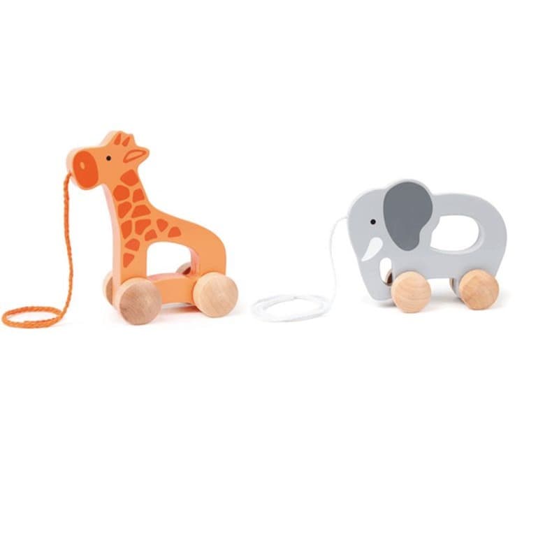 Giraffe and Elephant