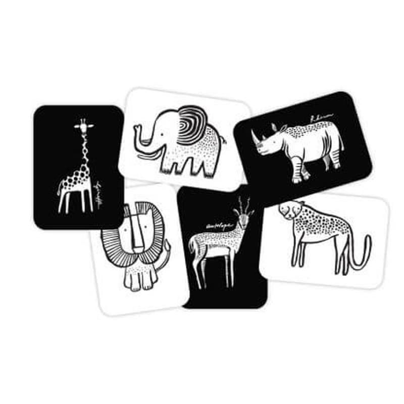 High Contrast Art Cards