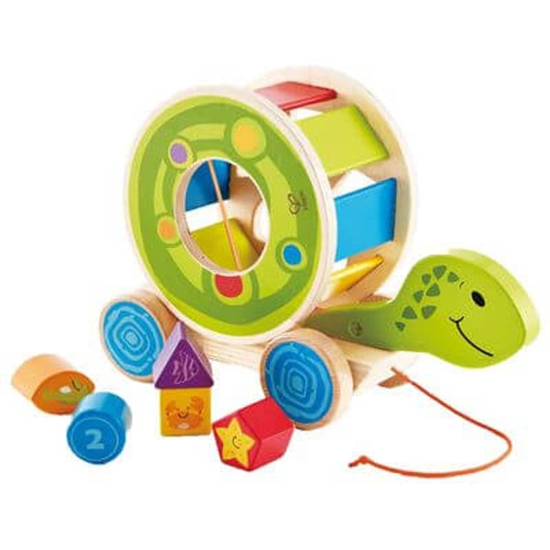 Shape Sorter Turtle Pull Toy