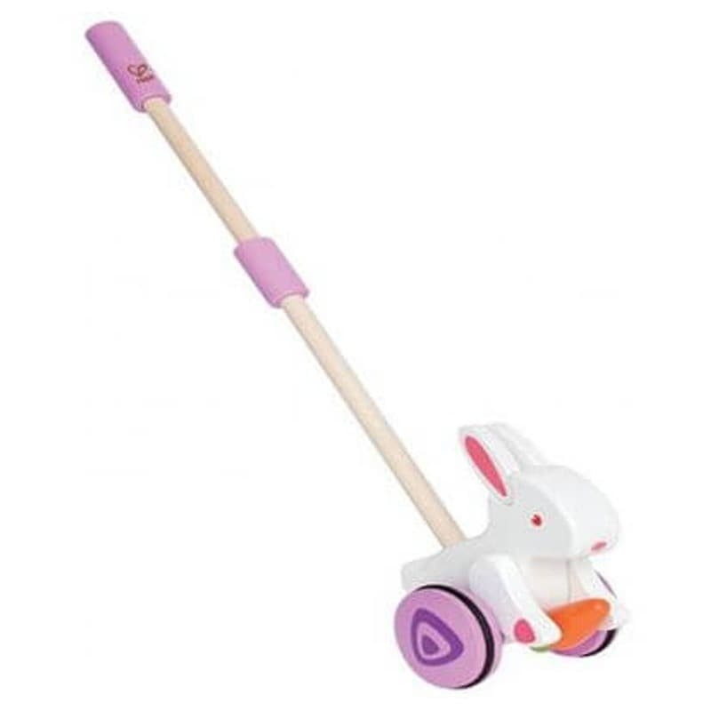 Bunny Push Toy