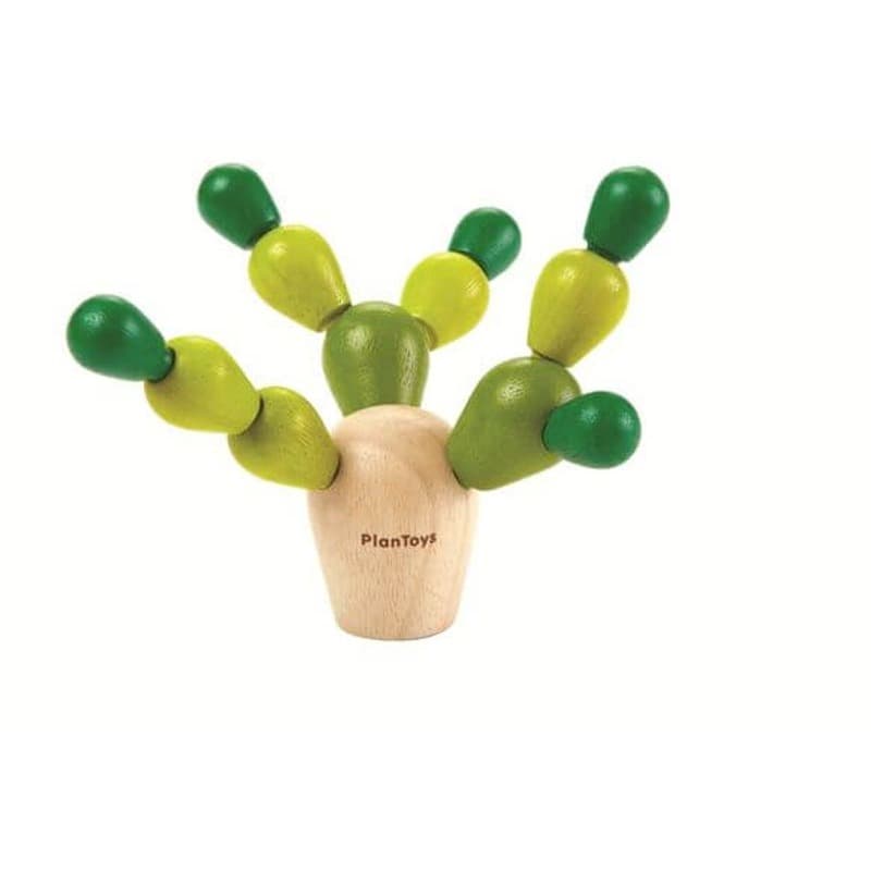 Mini Memo Game & Balancing Cactus