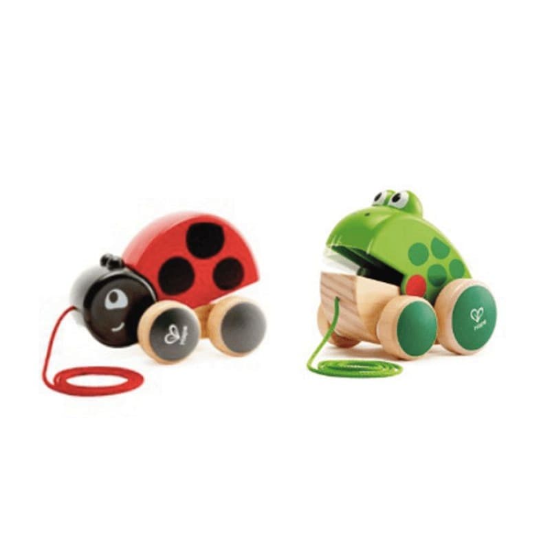 Lady Bug and Frog Pull Along