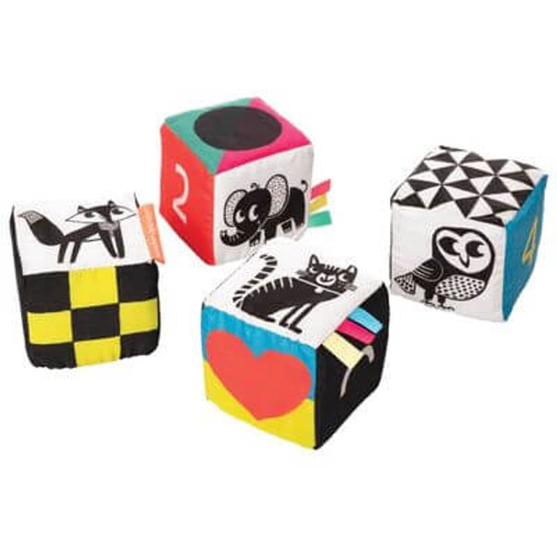 Wimmer Ferguson Mind Cubes